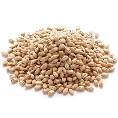 Cebada Perlada en granos x 500grs COQUITOS