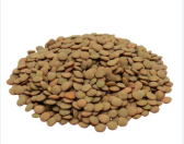 Lentejones Envasados x 500gr COQUITOS